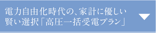 電力自由化時代の、家計に優しい賢い選択「高圧一括受電プラン」